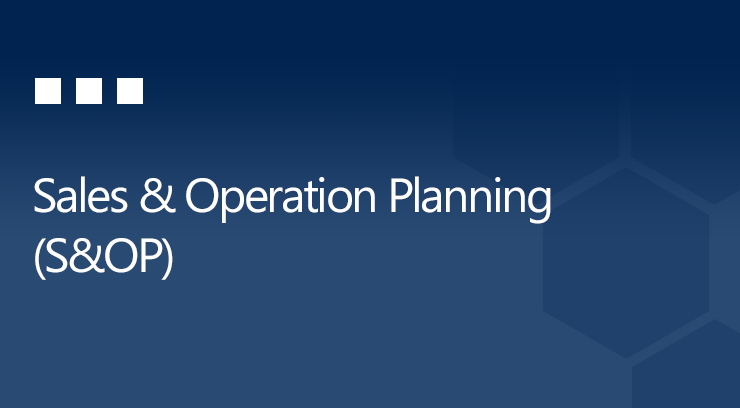 Sales & Operation Planning (S&OP)