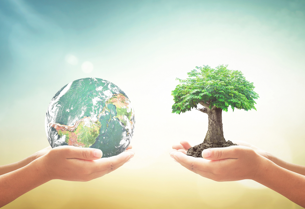 corporate Certificate2